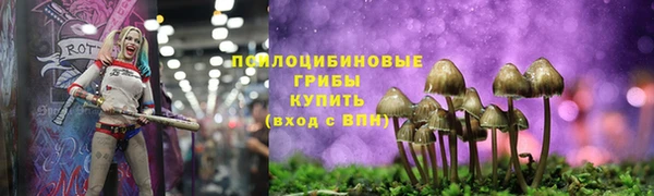 амф Алексеевка