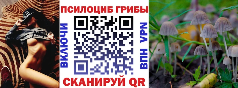 продажа наркотиков  Оленегорск  Галлюциногенные грибы MAGIC MUSHROOMS 